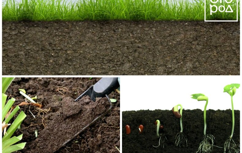 повышение плодородия почвы
